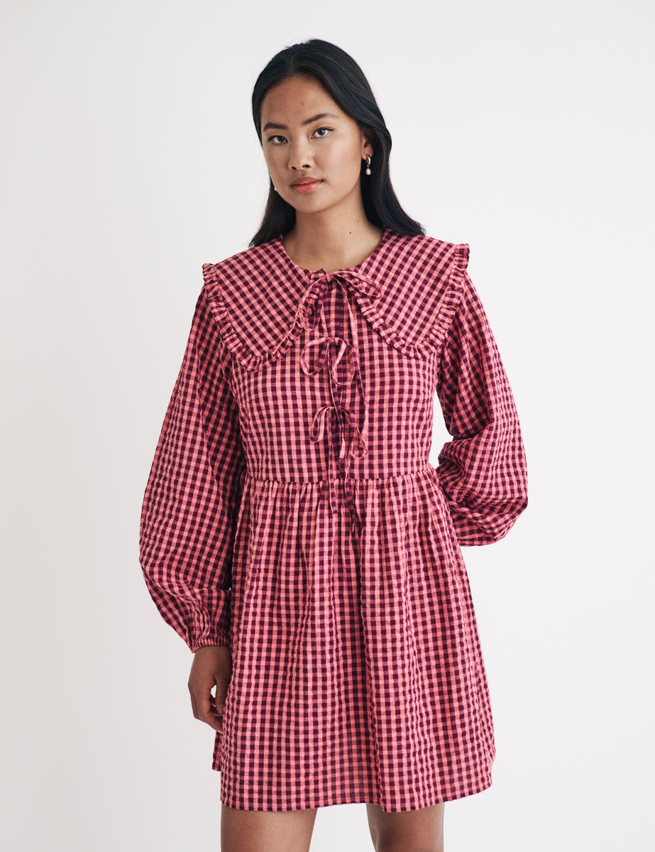 Pink Gingham Peter Pan Collar Blaze Mini Dress